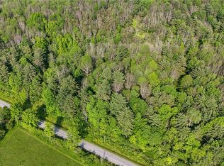 0 Lamont Rd #1, Angelica, NY 14709