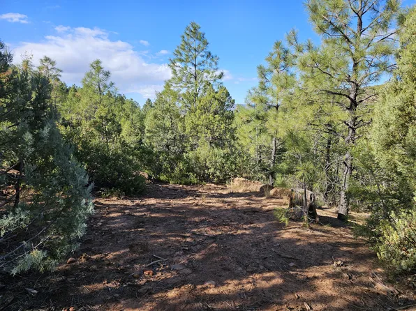 LOT 52 N Big Als Run, Payson, AZ 85541
