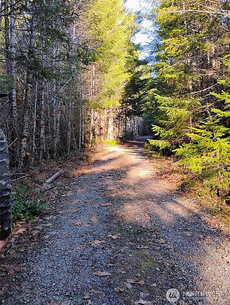 2nd image of 0 Skate Creek Road S