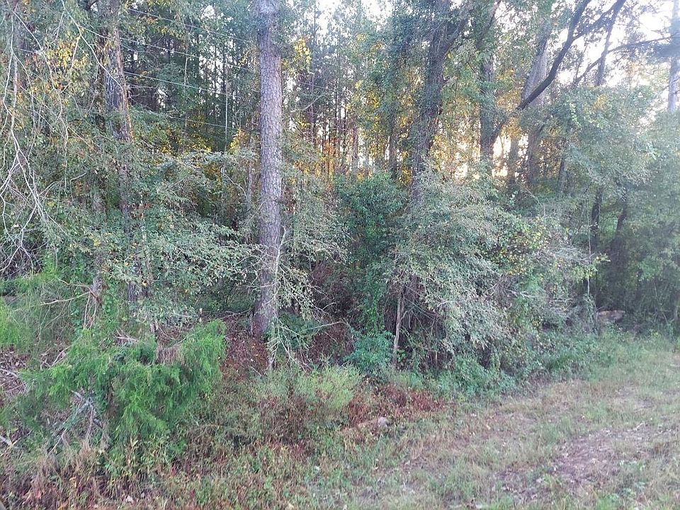 2nd image of 0 Clary Cut Road