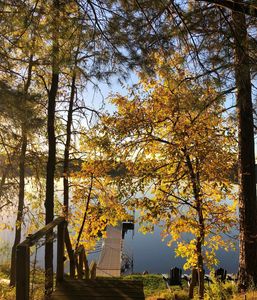 12085 Arrowhead Dr, Menahga, MN, 56464