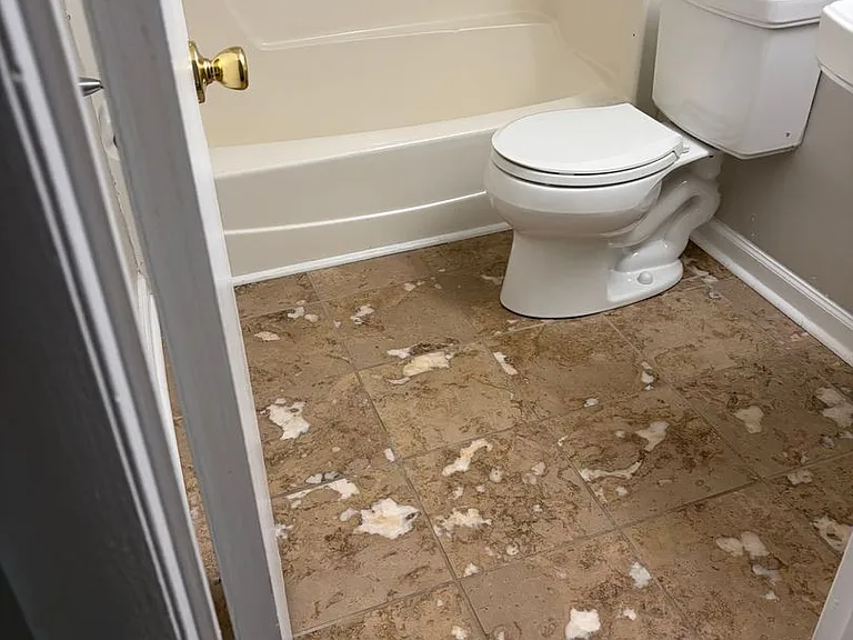 4519B Edwards Mill Rd — Photo 15