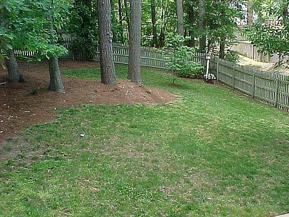 FENCED YARD