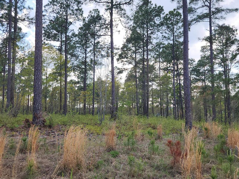 1st image of 43 Pasture Creek Ln