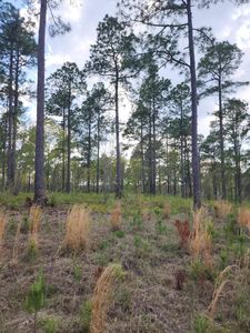 43 Pasture Creek Ln, Aiken, SC, 29803