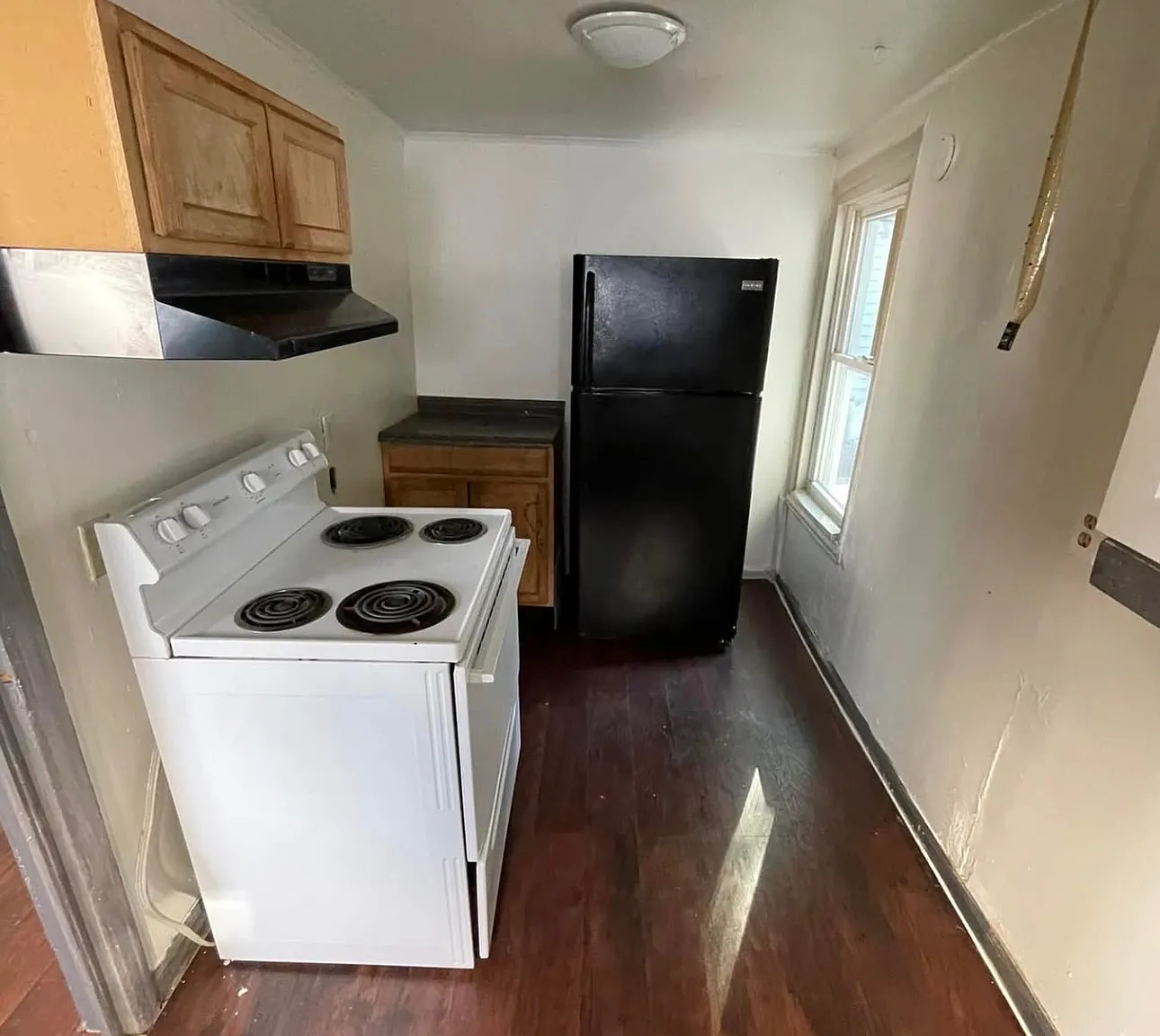1 bed, $650 — Photo 4
