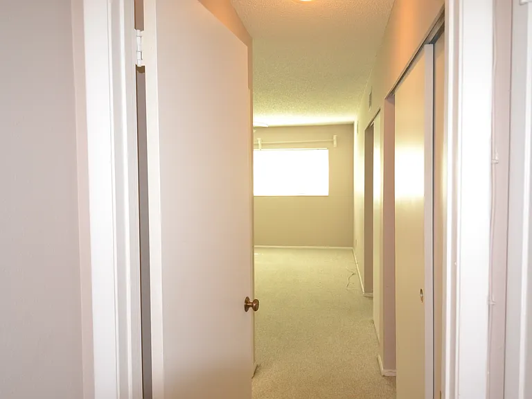 2471 Sumatran Way #25 — Photo 36