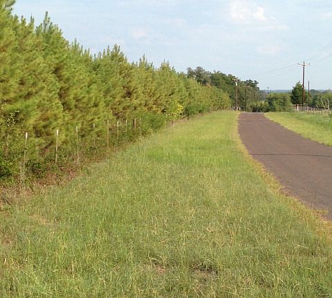 2nd image of 2000 An County Road 463