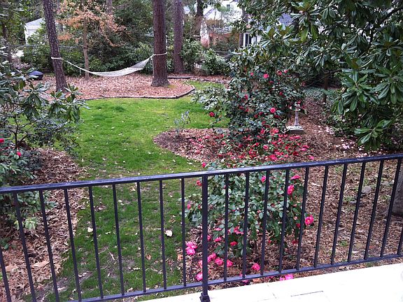 View from back patio