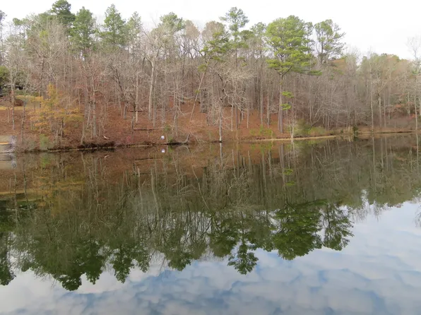 LOT 4 Cove Rd, Rockford, AL 35136