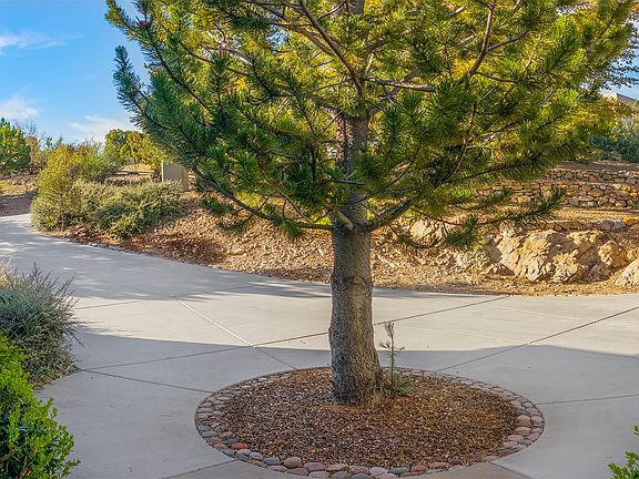1853 Forest View - Copy 11 - Tree Near F