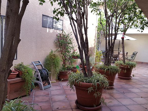 shared courtyard with herb garden