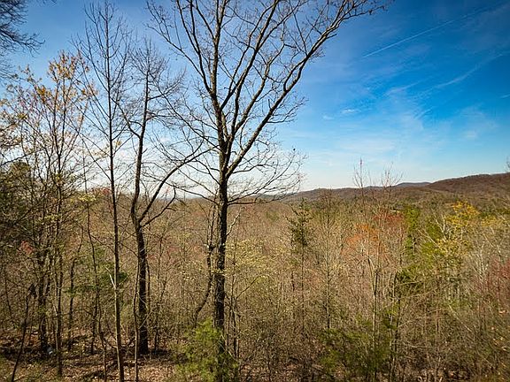 5th image of 460 Gobbler Knob Dr