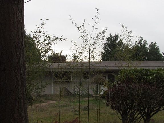 3rd image of 11926 53rd Street Ct E