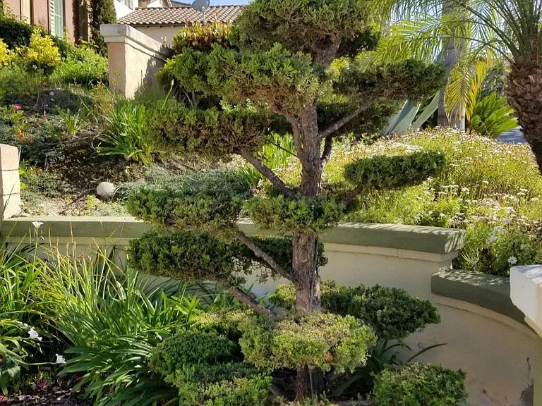 Scripps Poway Pkwy — Photo 5