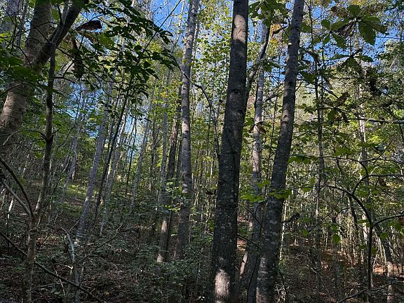 5th image of 1028 Goddard Rd