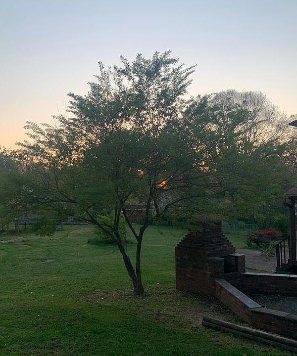 2nd image of 8509 Stokely Dr