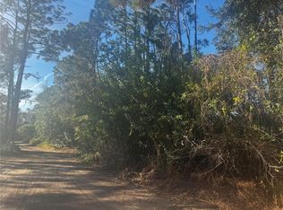 11-20 Anno St LOT 11, Tampa, FL 33625