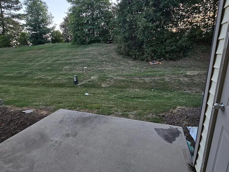 9907 Sweet Basil Dr — Photo 19