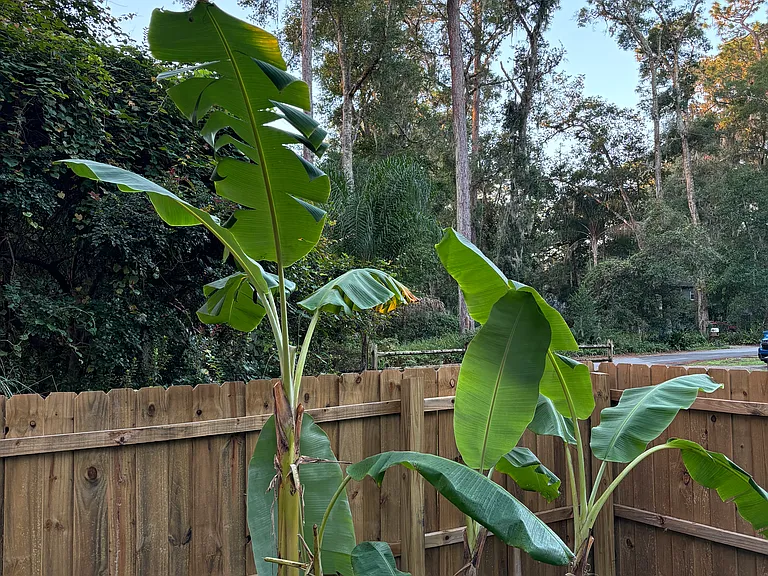 1177 Natures Hammock Rd N — Photo 29