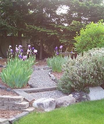 Park-like back yard