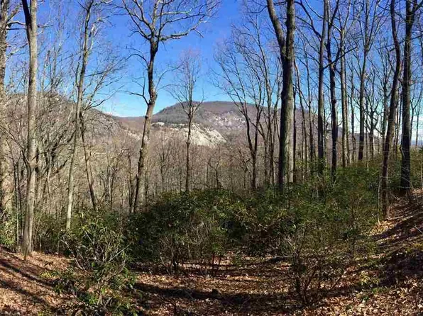 232 May Apple Way, Landrum, SC 29356