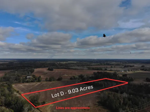 LOT Fish Pynes Rd #D, Pansey, AL 36370
