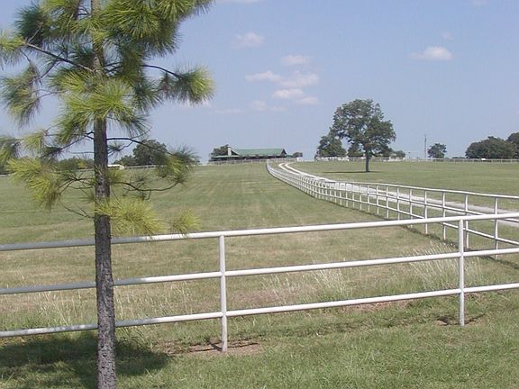 View to Home