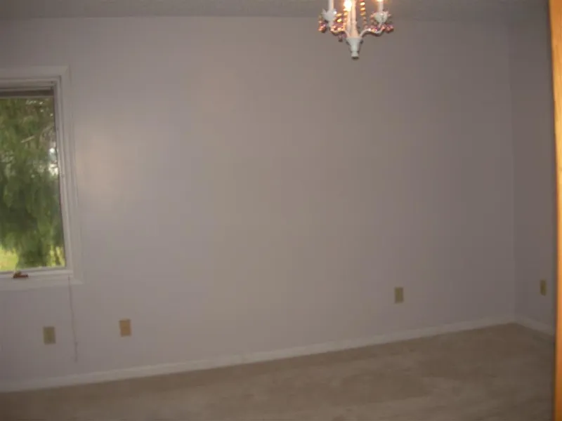 Thumbnail 19