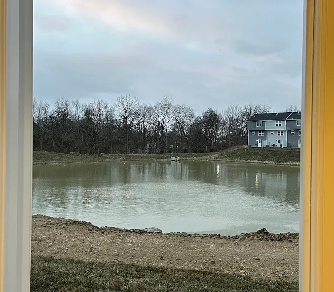Backyard pond view