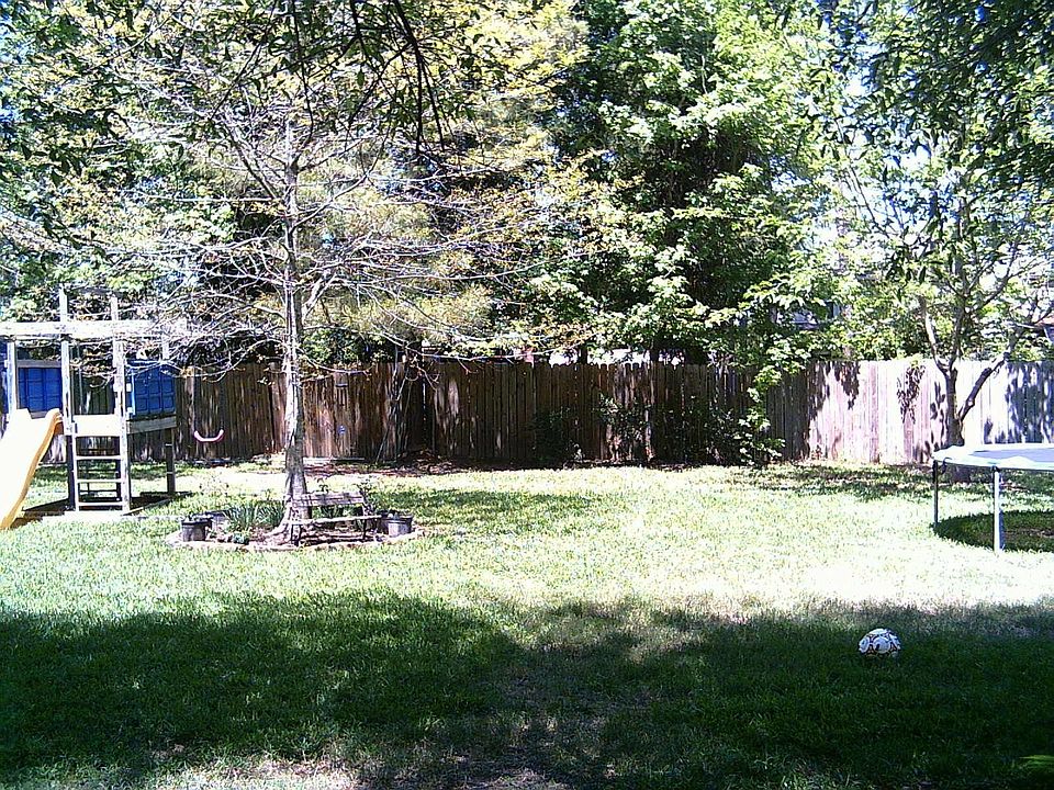 Backyard from patio.