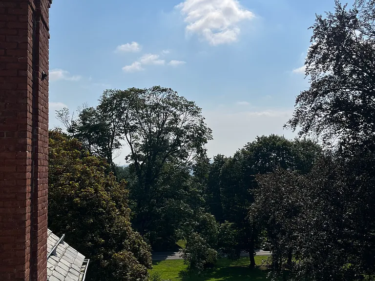 View from balcony