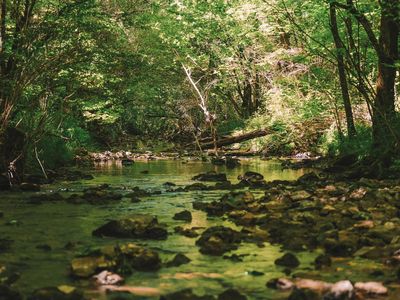 0 Roy Foster Rd, McMinnville, TN, 37110