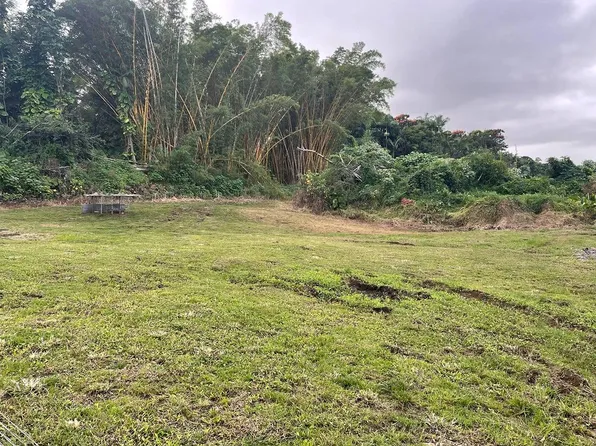62 Hale Manu Dr Lot 903-C, Hilo, HI 96720