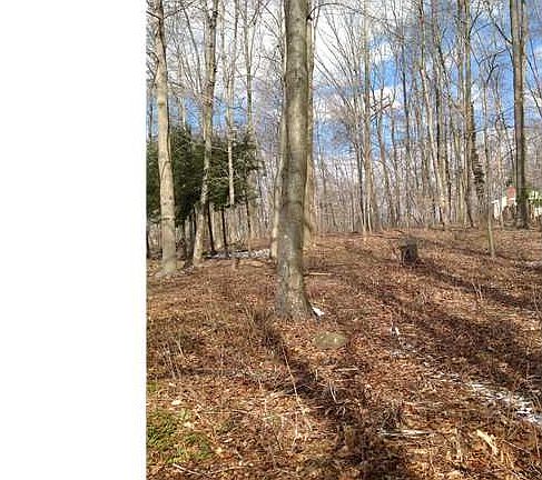 3rd image of 39 Berncliff Dr