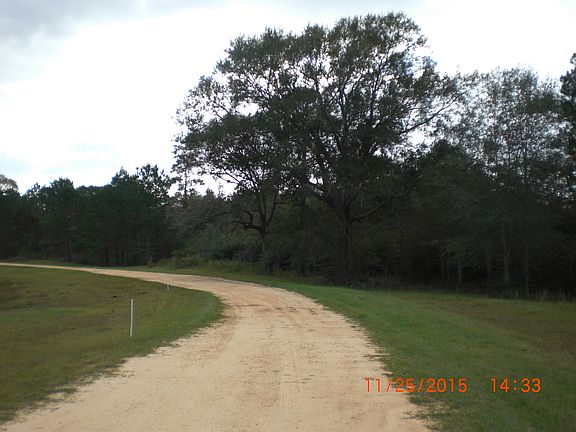 3rd image of 00 Sweet Bay Dr.