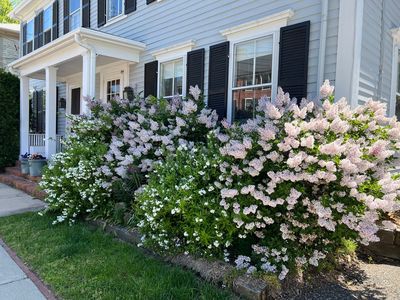 26 Court St UNIT 26, Dedham, MA, 02026