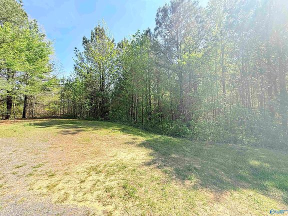 3rd image of Sweet Home Rd
