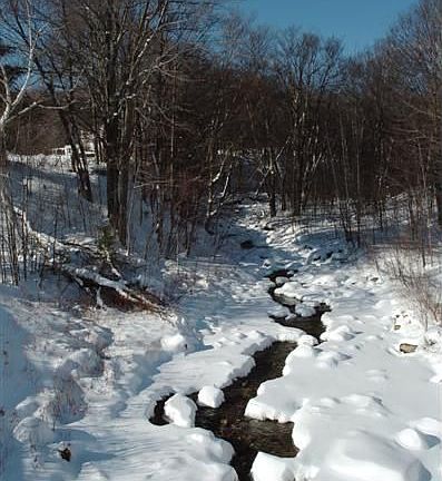 Cold Brook flows through the property
