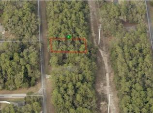 10389 N Allwood Ter, Citrus Springs, FL 34434
