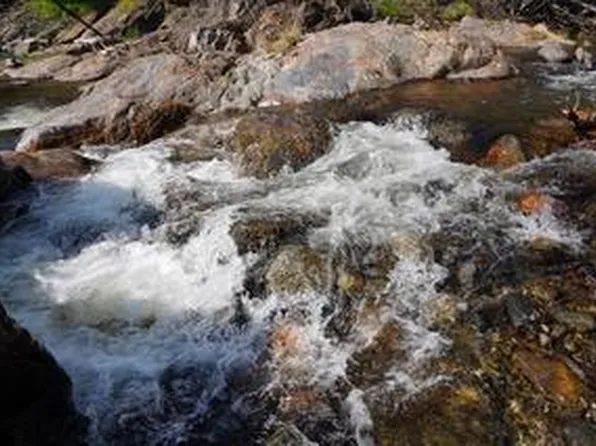 40 Trimmer Springs Rd, Kings Canyon National Pk, CA 93633