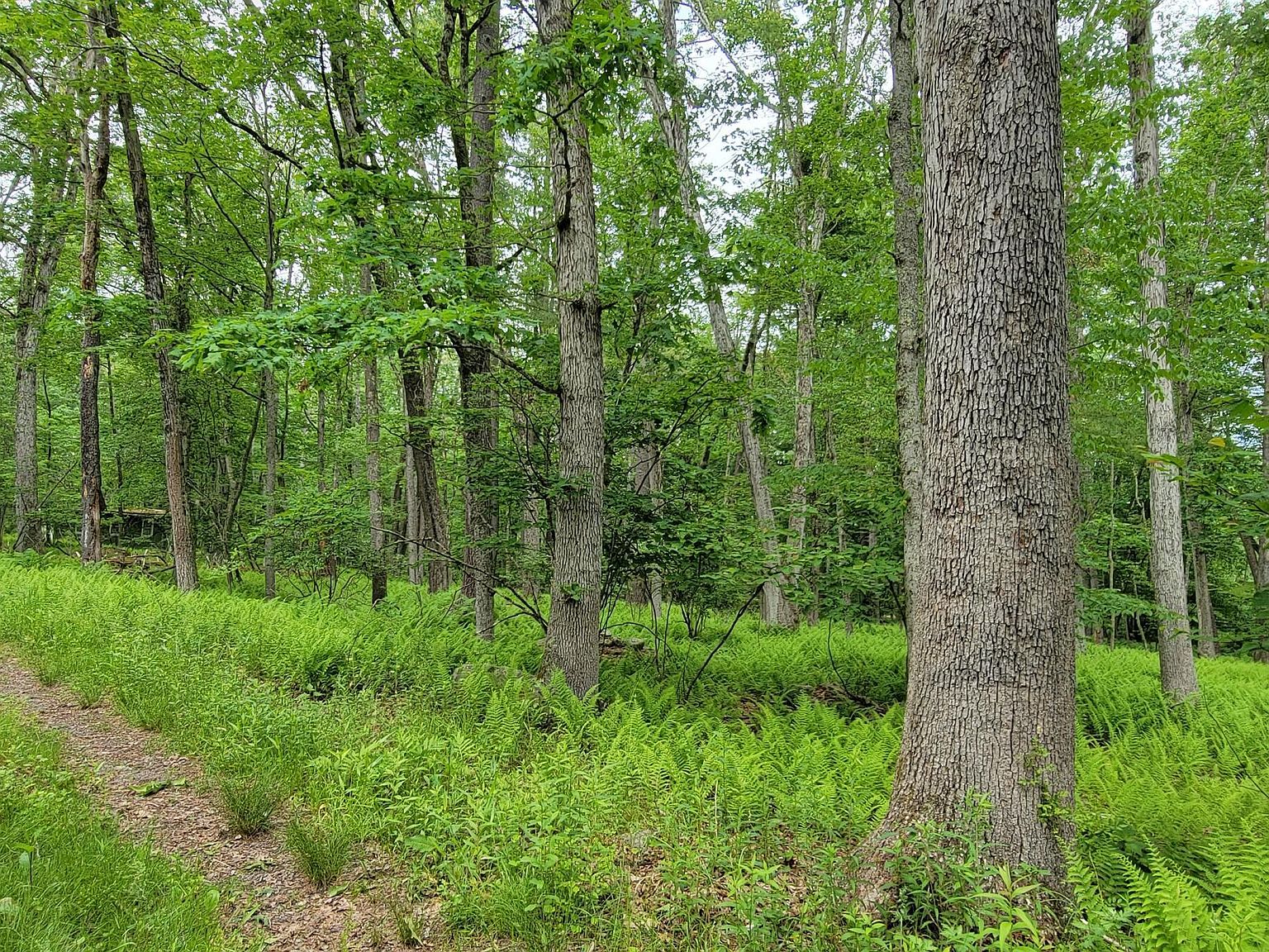 192 Lake Country Ln, Narrowsburg, NY 12764 Zillow