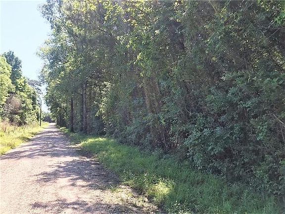 2nd image of Stein Rd