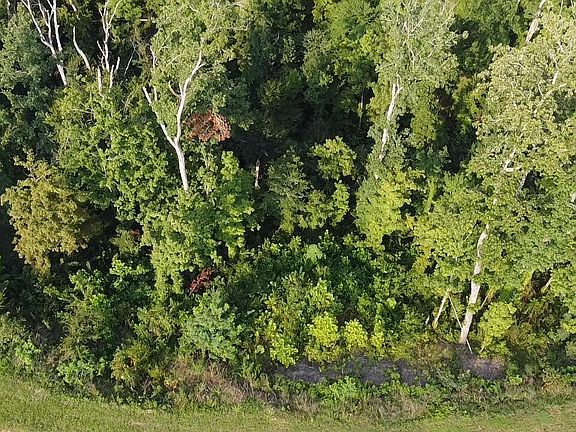 2nd image of 143 Reedmont Way Lot 143