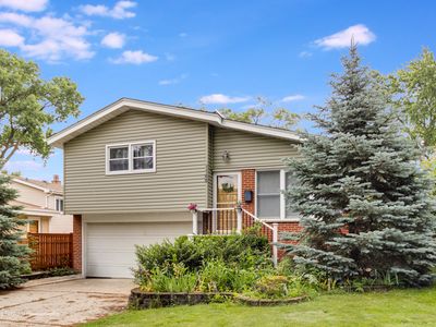 1145 S Chestnut Ave, Arlington Heights, IL, 60005