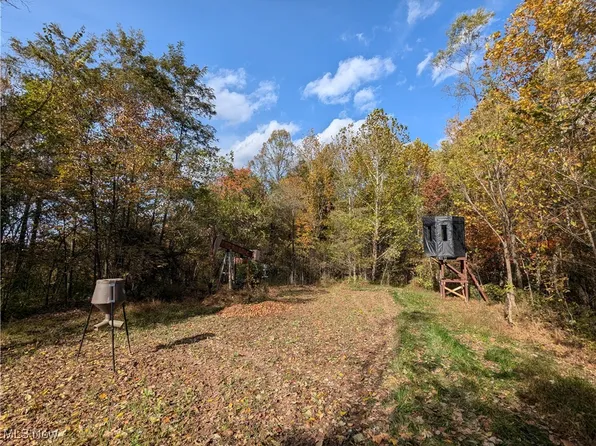 44603 Roy Bower Rd, Sardis, OH 43946