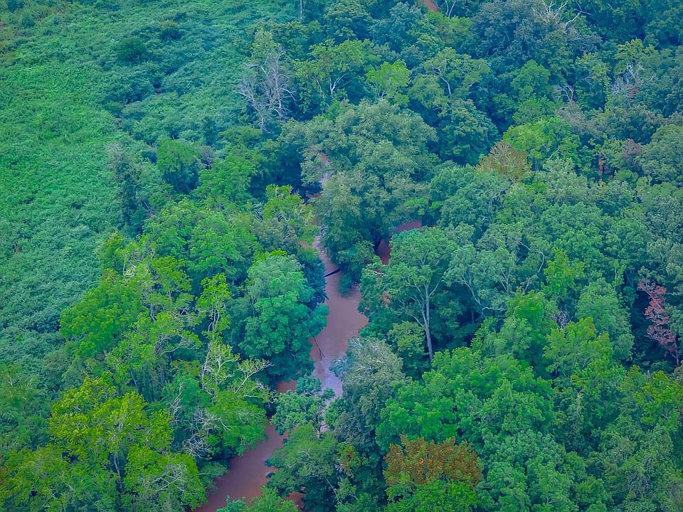 1st image of Humpback Bridge Rd