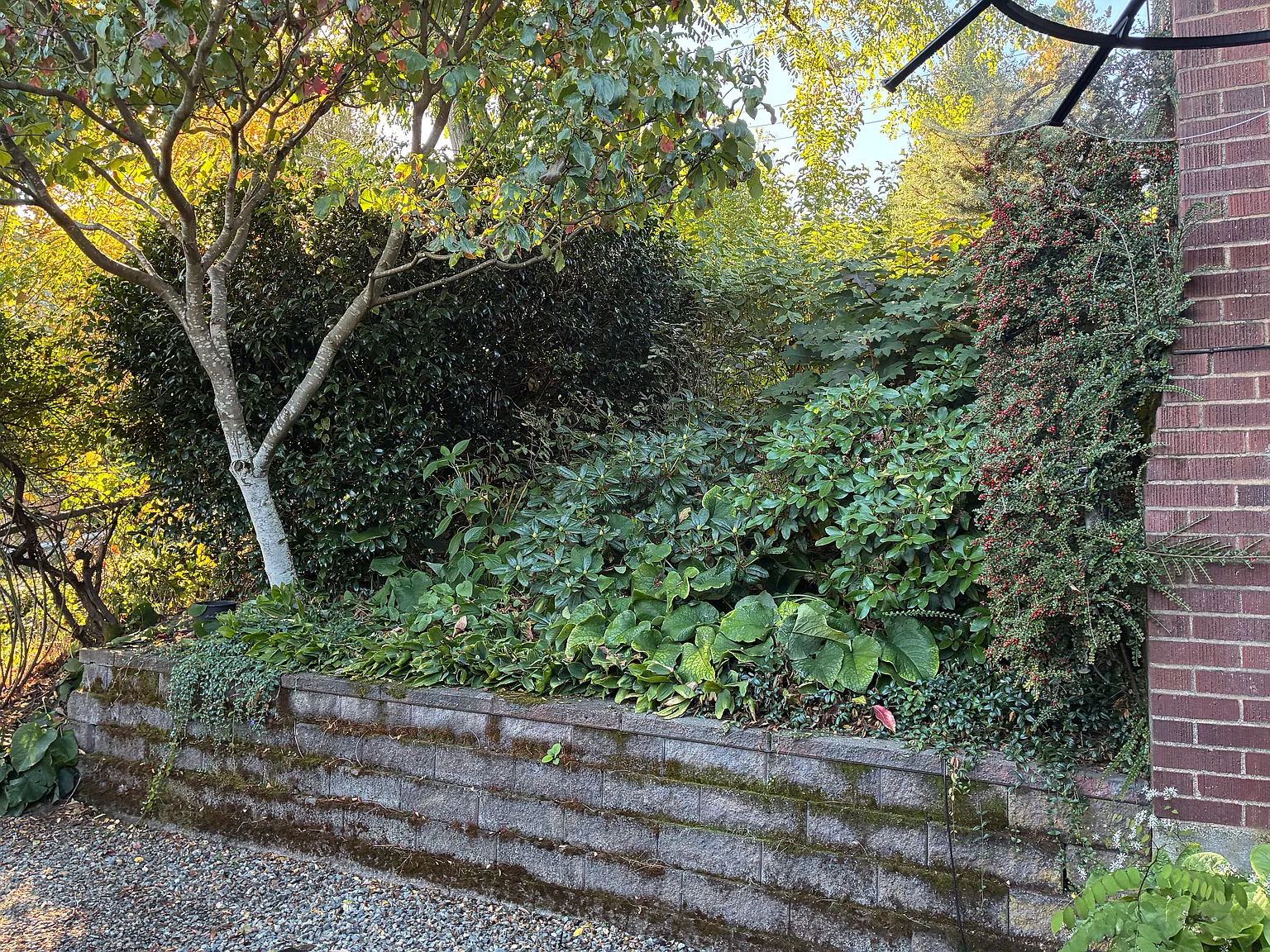 1 bed, 1000 sqft, $2,100 — Photo 3