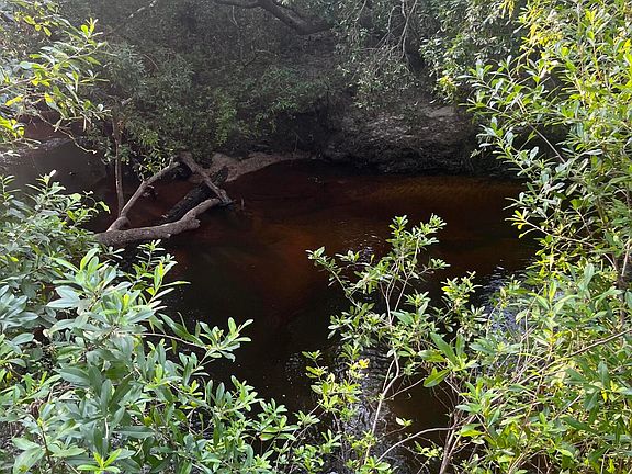 5th image of 0 Crane Creek Rd