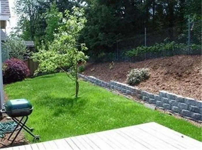 Fully-fenced Yard